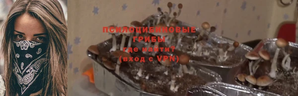 PSILOCYBIN Алзамай