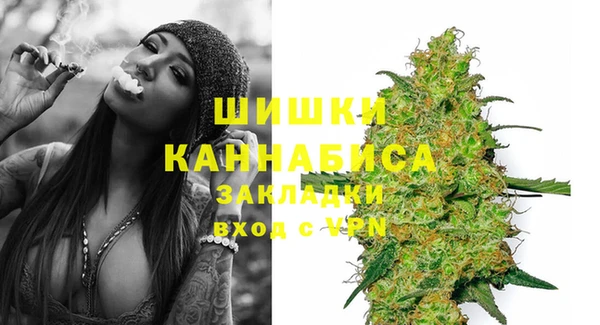 PSILOCYBIN Алзамай