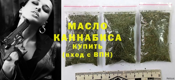 дмт Ельня