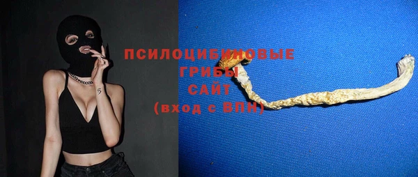 прущие грибы Алексин