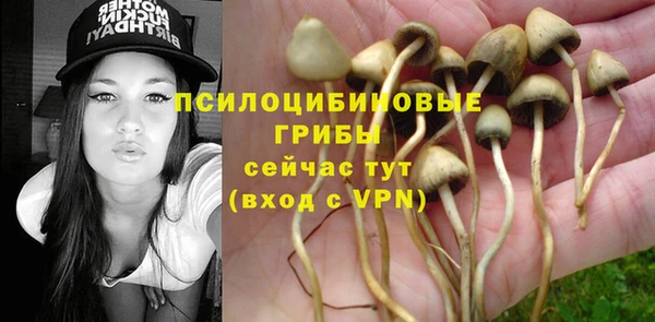 прущие грибы Алексин