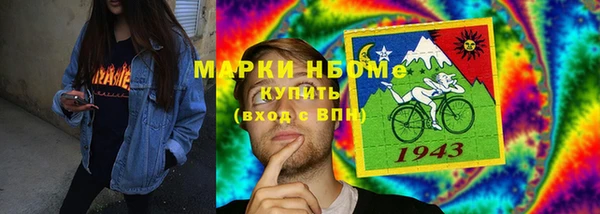 PSILOCYBIN Алзамай