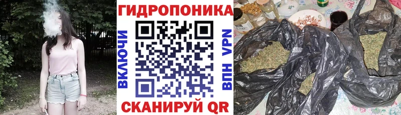 Марихуана Ganja  Кирс 
